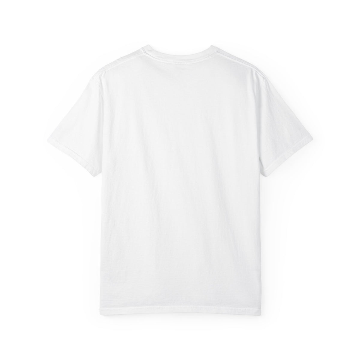 Ladies of the World - Flight of the Conchords T-Shirt